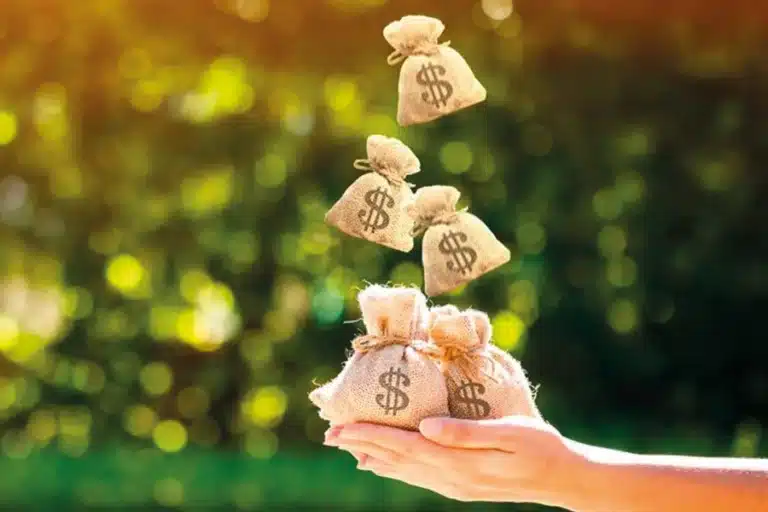 que-son-las-aportaciones-voluntarias-1 copia