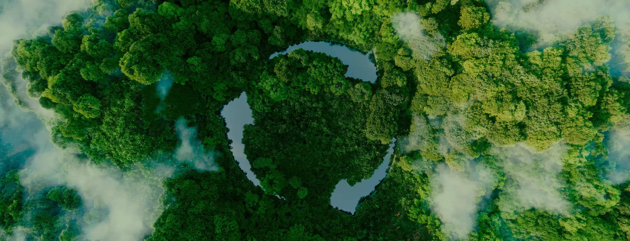 banner asg afore xxi