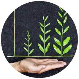 insignia inversion verde afore xxi