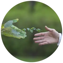 insignia inversion verde afore xxi